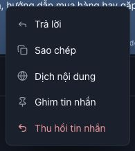 Menu của một tin gửi có Trả lời, Sao chép, Dịch nội dung, Ghim tin nhắn và Thu hồi tin nhắn. Ảnh dừng ở menu, chưa ghim hay thu hồi.