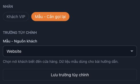 Hồ sơ mẫu với nhãn màu cam được gắn, trường nguồn khách chọn Website và nút Lưu trường tùy chỉnh.